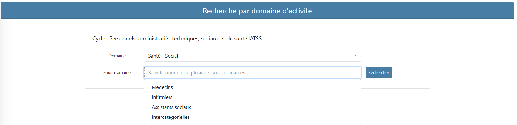 Page de recherche par domaine avec un Domaine d'activité avec une liste de sous-domaine